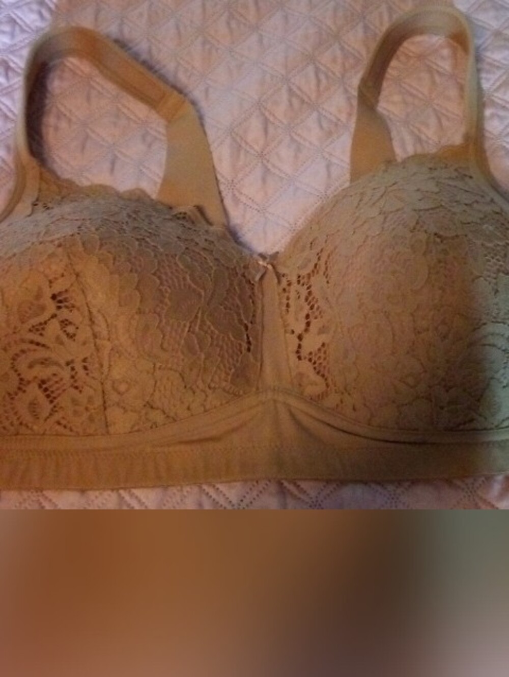 Rhonda Shear Lace Full Coverage Bra in Beige